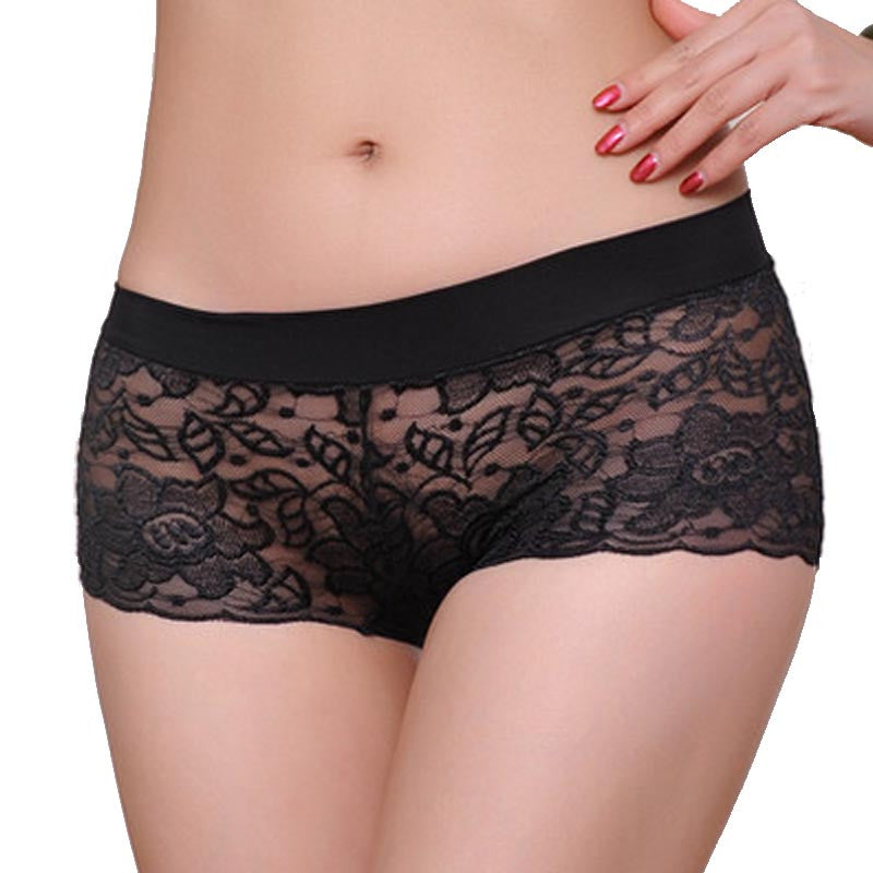 Sexy Lace High Waisted Knickers, Sheer Womens Panties With Lace up